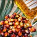 Kenya To Establish A $100 Million Palm Oil Processing Plant At Witu Nyangoro Ranch In Lamu