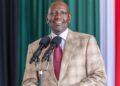 President William Ruto Announces 50pc Maize Seed Subsidy, Cuts Fertiliser Price to Ksh2,000