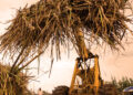 Kenya Bans Sugar Imports, Signaling New Era Of Self-Sufficiency