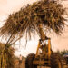 Kenya Bans Sugar Imports, Signaling New Era Of Self-Sufficiency