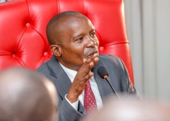 Government to Commission 21 Industrial Parks by March 2027: DP Kindiki