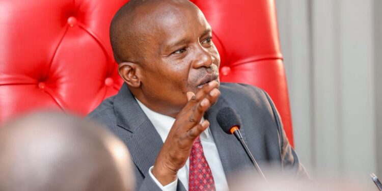 Government to Commission 21 Industrial Parks by March 2027: DP Kindiki