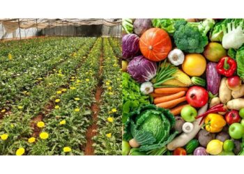 East Africa Launches Horticulture Council IN Nairobi To Cut Trade Bottlenecks