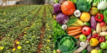 East Africa Launches Horticulture Council IN Nairobi To Cut Trade Bottlenecks