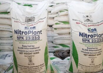 President Ruto Announces Lower Fertilizer And Maize Seed Prices In Fresh Push To Boost Food Production