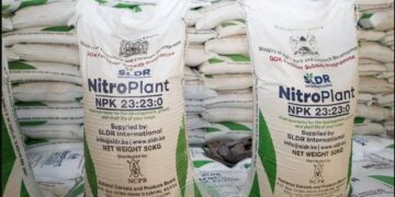 President Ruto Announces Lower Fertilizer And Maize Seed Prices In Fresh Push To Boost Food Production